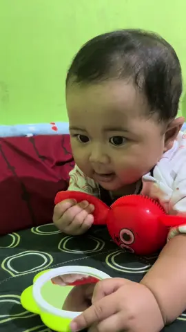 Recomended mainan anak buat sensorik nya bagus banget 😻 #masyaallahtabarakkallah #mainanbayik #7month 