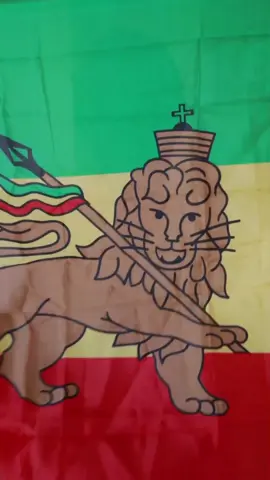 The real Rastafari Lion of JUDAH Flag 💚💛❤️🦁✨️ | #rasta #rastafari #rastafaritiktok #rastafariempress #nyahbinghi #haileselassie #haileselassieithefirst #lionofjudah 