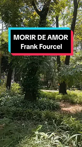 MORIR DE AMOR - Frank Fourcel. #fourcel #morirdeamor #instrumentalmusic #musicainstrumental #mourirdaimer #musicadepiano #musica #fy #fyp #fypシ #fypage 