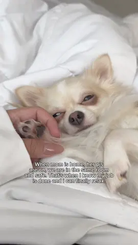 Such a sweetheart ❤️