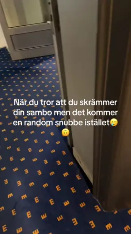 Trodde absolut att det var min sambo som kom, men icke🙃🥲 #foryou #fördig #fyp #fördig #scareprank #viral 