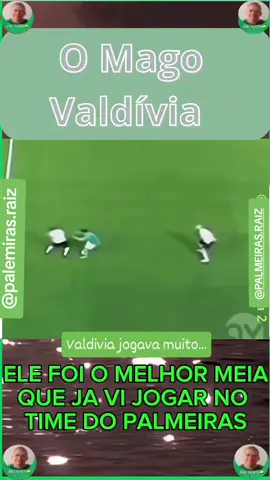 #fyou #viral_video #palmeiras 