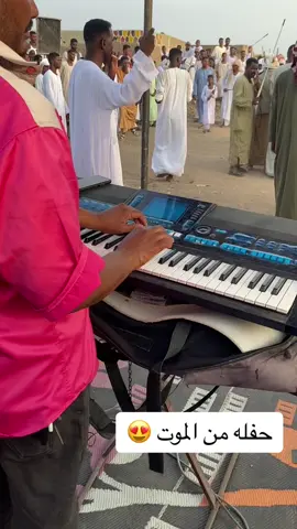 عوض صالح #دنقلا_المحس_السكوت_حلفا_اسوان #مشاهير_تيك_توك #sudanese_tiktok 