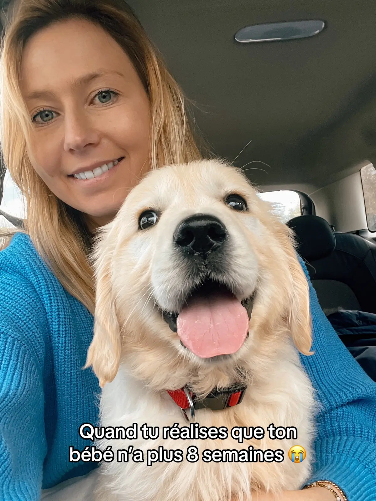 Ça passe beaucoup trop vite 😭 #goldenretriever #puppydog #chiot #goldenretrieverlife #chiendrole #chienmarrant 