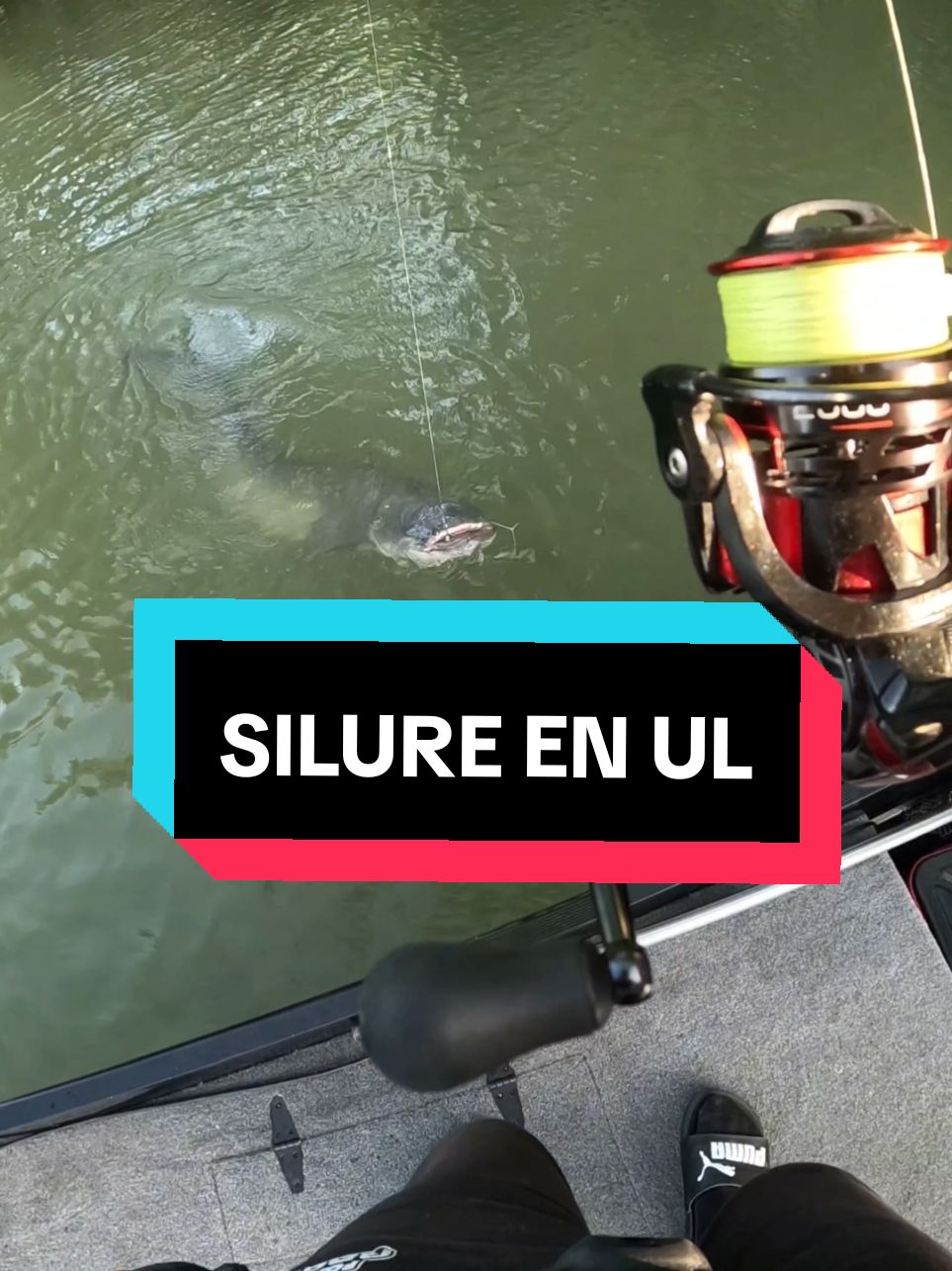 C'est rageant de le décrocher après presque une heure de combat 😬😬😬  #Silure #Glane #Fishing #Pêche #Foxrage #Catfish 