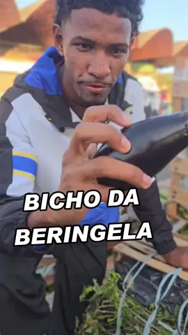 bicho na beringela #viral #legumes #ceasarj 