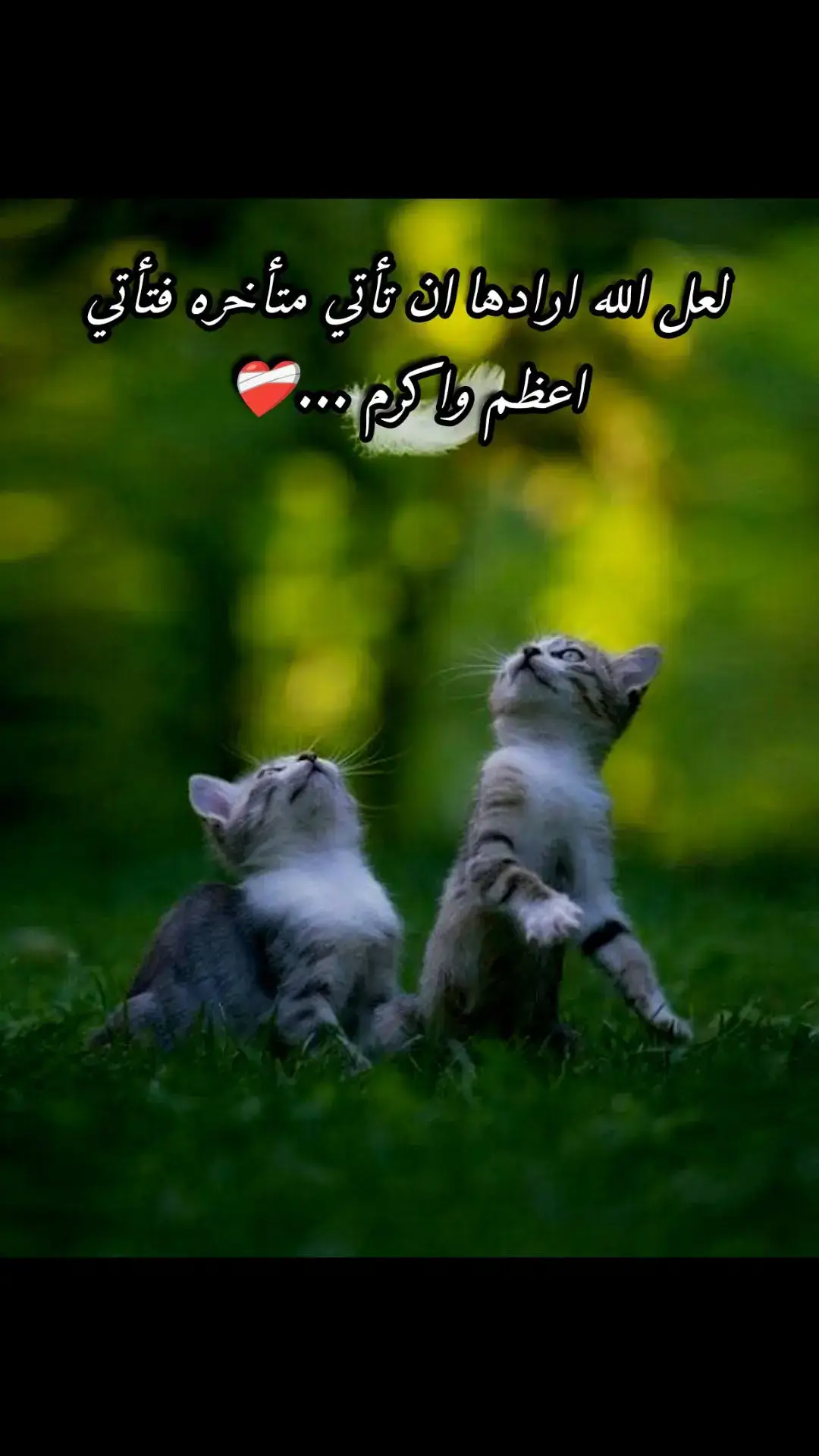 لعل الله ارادها ان تأتي متأخره فتأتي اعظم واكرم ....