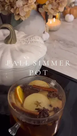 fall simmer pot making my home sell like fall heaven 🍂🍎🪵 #fall #fallaesthetic #fallsimmerpot #simmerpot #simmerpotrecipe #cozy #aesthetic #falldecor #homeorganization #asmr #asmrhome #asmrsounds #fallsmells #falldiy 