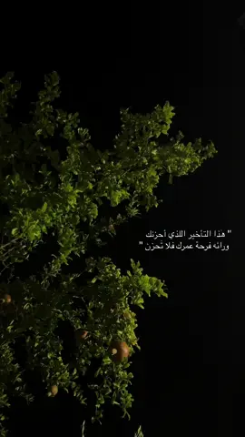 هذا التأخير الذي أحزنك ورائه فرحة عمرك 💚