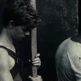 #NEWT i think i'm back in my maze runner era again 