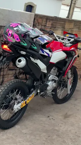 01 de Minas Gerais 🚂🤬 #244naoécrime #criadebh😝🔮 #xre300 #244 #mandrak 