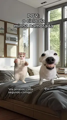 É complicado mas a gente ama!! 😻😹 #casal #gatos #gatinhos #memes #foryou #pov 