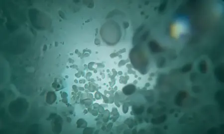 Replicating bacteria 🦠 #bacteria #weirdcore #weird #virus #microscope #ai 