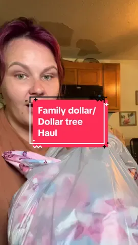 #haul #haultok #fyp #demure #familydollar #dollartree 