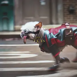 I absolutely loved using this audio again for dogpool and deadpool | #dogpool #deadpool #ryanreynolds #deadpoolandwolverine #hughjackman #marvel #wolverine #peggythedog #nicepool #trending| cc: @☾ scp: @juaneditzscp | surprised i had time to make this after the amount of time me and my mum spent trying to get a meaty spider with a silleto heel 😰