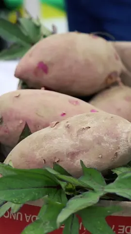 🟦 👀 Seguimos celebrando el 