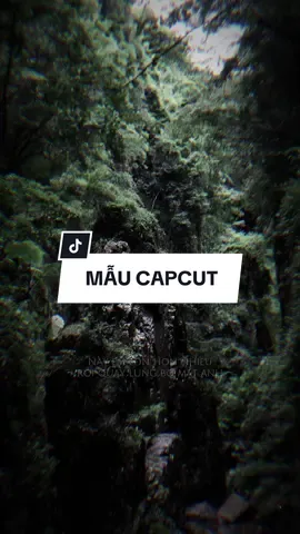 Hai bàn tay chở che từ lúc em chưa trưởng thành | Hoá Tương Tư Remix #CapCut #edit #mẫucapcut #xh #nhachaymoingay #lyrics #capcutmaster 