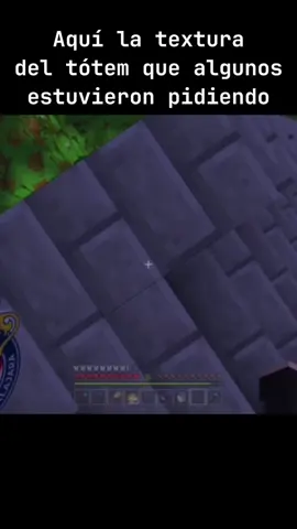 ARRIBA LAS CHIVAS!! 🗣️🗣️ #Chivas #Minecraft #Bedrock #Humor #cosmicteam_ #fyp