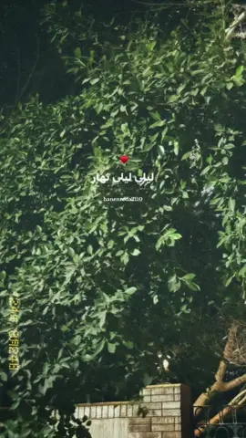 #elissa #elissazkh #elissakh #elissa #baddi_doub #بدي_دوب #foryou #fypシ゚ #fypシ゚viral #explore #♥️  #اليسا 