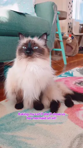 She’s my little purrmaid! #mycat #cutecat #fluffy #pets #Love 