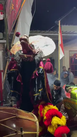 suwe ra dulinan malah ambyuk😣🤦🏻‍♂️ #kesenianjaranan #singobarong #turonggosingobarong #malang