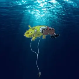 Wildflower full song, but I make the vocals is delay • • Billie Eilish  • • #2024 #hmhas #hitmehardandsoftbillieelish #billieeilish #wildflower #delay #editaudio 