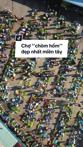 Khu chợ ‘’chồm hổm’’ đẹp nhất ở miền tây, người bán lệch một chút là bị các chú bảo vệ nhắc nhở ngay.  #dulich #chovithanh #dulichtiktok #haugiang #reviewdulich 