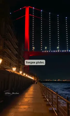 Yorgun beden, kırgın gözler,   Kalmayan heves, tükenmiş izler.   Umutlar yitmiş, hayaller kırık,   Hiç susmayan kafamda bin bir fırtınalık. Sessizliğe bürünmüş, konuşmaz dilim,   Düşünceler boğar, çıkarmaz sesim.   Bir adam kaldı, susmuş, yorgun,   İşte bu benim, kaybolmuş bir yolun. Yorgunluk sardı her yanımı,   Düşler silindi, yalnız kaldı yanım.   Ama yine de sürer bu sessiz akış,   Bir umut bekler belki de son bakış. #anlamlısözler #düşünceler #şiir #gerçekler #fikir__meydani 