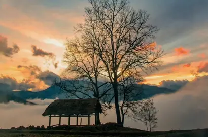 Y TÝ BÁT XÁT #yty #ytybatxatlaocai #travel #taybac #canhdepvietnam 