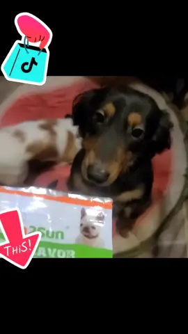 #dogapproved #dogtreats #mydogslovethese #duckandchicken #mississippigirl #approved #tiktokshop #tiktokmademebuyit 