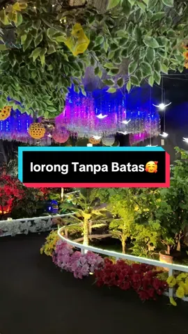 Suasana yang tenang dan spot foto yang sempurna di setiap sudut✨ Lorong Tanpa Batas New Celosia memberikan pengalaman wisata yang menajubkan 🤩 Tunggu apa lagi?  Ayo liburan ke New Celosia🥰  #celosia #newcelosia #duniapenuhwarna #promo #wisatasemarang #wisata_jateng #jawatengahhits #pesonaindonesia #semaranghits 