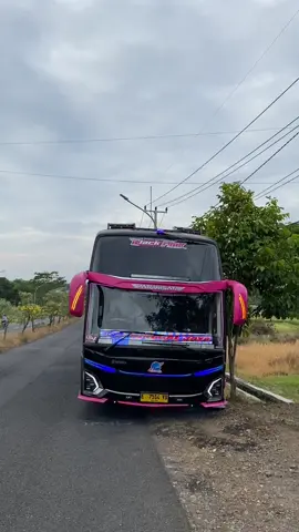 tebak nomer nada gaes 🗿🗿🗿 . . . @TUNGGAL JAYA @Deni permana1011 @Yendi_Mffamilia @Fadyourbae  #tunggaljayatransport #planetbus #blackpinkreborn #blackpink #jetbus5 #xybca #hinorm280 #fakesituation⚠️ #alzifaairhorn 