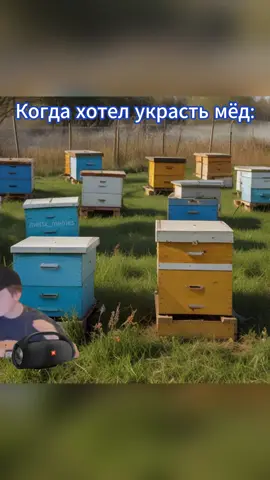 Когда хотел украсть мед #меллстрой #мем 