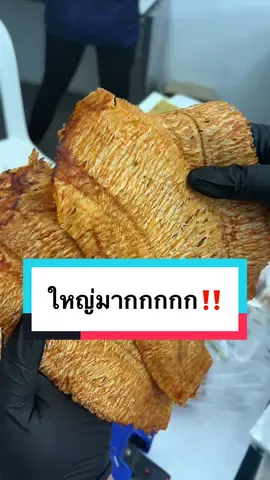 ใหญ่มากกกแม่‼️ #หมึกบดสามรส #หมึกบด #ของว่างทานเล่น #tiktokshopช้อปกันวันเงินออก #ช้อปกันวันเงินออก #ออลโลเคิลสินค้าพื้นบ้าน 