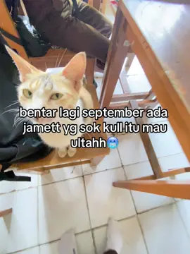 ##moots #foryoupage #fyp #masukberanda #trend #ultah 