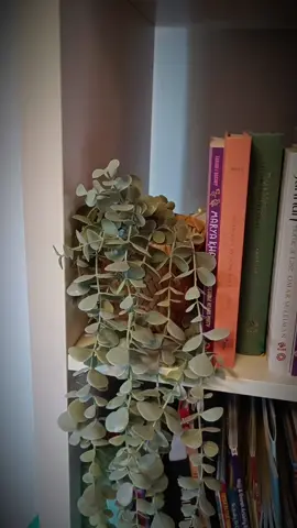 Now you can really get to learning the nitty gritty of some of the names of Allah! It's really a fantastic book for gaining a greater perception of Allah's names which in turn will give a greater alertness and understanding of life #islamicbooks #books #fyp #islam #muslim #islamic #muslimtiktok #islamictiktok #allah #namesofallah 