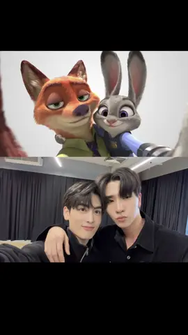 🦊🐰 @PERTHPPE 