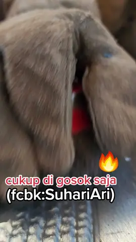 sekali gosok ok boss #welder #weld #welderSuhariAri #weldernation #welderslife #welding #fcaw #bluecollar #hightlight  #tendencia  #fypシtiktok #pengikut  #suondvirall #foryoupage #skills  #pengikut 