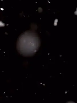 Kỉ niệm gần 1 thập kỉ 🥹 #xuhuong#toathanhtayninh#caodaitayninh#hoiyendieutricung2024#muarongnhang2024#tayninh70 