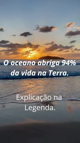 O vasto oceano cobre cerca de 71% da superfície do nosso planeta e é o lar de 94% da vida marinha. De gigantes como baleias e tubarões a pequenas criaturas bioluminescentes, os oceanos são um dos maiores e mais misteriosos ecossistemas da Terra. Eles desempenham um papel crucial no equilíbrio climático e na produção de oxigênio. A próxima vez que você estiver à beira-mar, lembre-se de que está diante de um imenso e vital lar de vida. #terra #oceano #dicas #curiosidades #viral 