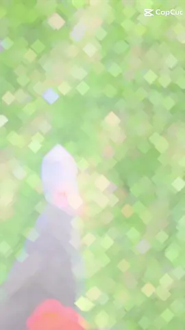 #สปีดสโลว์ #สโลว์สมูท #CapCut  #الشعب_الصيني_ماله_حل😂😂 #مشاهير_تيك_توك 