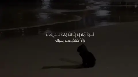 🥺🖤#run4ky #الله #اشهد_ان_لا_اله_الا_الله #واشهد_ان_محمد_رسول_الله 