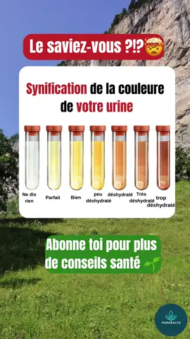 Vous êtes en bonne santé ? Abonnez-Vous pour plus de vidéos et conseils santé #sagesseetconseil #astucesanté #abonnetoi #urine 