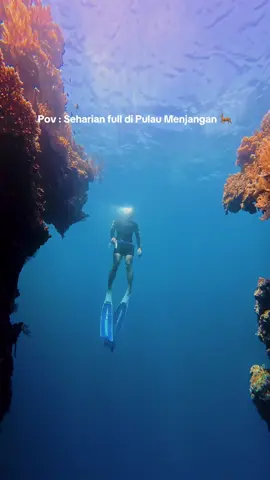 Selama ini kemana aja! Kalo Pulau Menjangan sebagus itu 😭 #pulaumenjangan #balibarat 