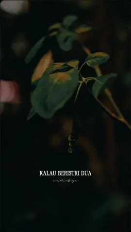 senangnya dalam hati.... #storylirik #liriklagu #madutiga #triad #alditaher #templatelirik #sahacik #CapCut 