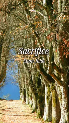Sacrifice - Elton John (subtitulada en español) #musicaparati #exitosinolvidables #musicaromanticas #lamusicadericardo 
