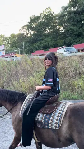 What do horeses eat…?