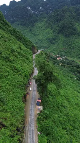 Cây Cô Đơn tại Dốc Cán Tỷ các bạn đã đi qua chưa? #hagiang #datohagiang #vietnamtravel #vietnam #tiktoktravel #reviewhagiang #travel #dulichhagiang #canty 