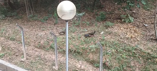 onde eu trabalho é assim ..... 