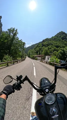 🇫🇷🌲 #harleydavidson #fyp #france #bike #forest #foryou #roadking #Summer #harleydavidsonlifestyle #roadtrip #foryoupage #harleyfrance 